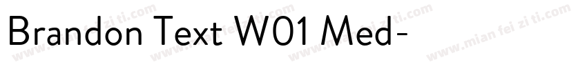Brandon Text W01 Med字体转换